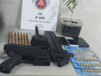 A ação ocorreu, no bairro Campinho, em Santa Cruz Cabrália, após denúncias de populares.