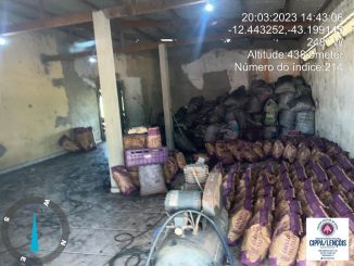 A ação aconteceu em uma empresa no KM 32 da Ba 160, município de Paratinga.