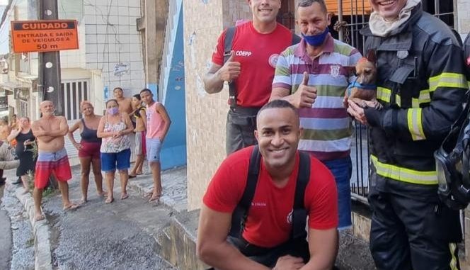 Após o resgate os animais foram avaliados pelos bombeiros e estavam sem ferimentos aparentes.