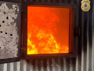 As drogas foram resultados de apreensões da Delegacia de Tóxicos e Entorpecentes