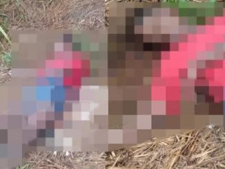 Segundo informações da polícia, após a denúncia os policias foram para o local ver a situação, mas a mulher já estava sem vida.