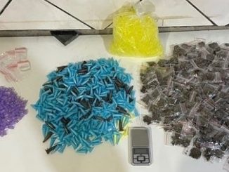 Os entorpecentes foram encontrados em Salvador, Feira, São Gonçalo dos Campos e Pau Brasil.