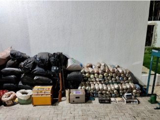 Drogas foram apreendidas na quinta-feira (23), no povoado de Lagoa, município de Canarana.