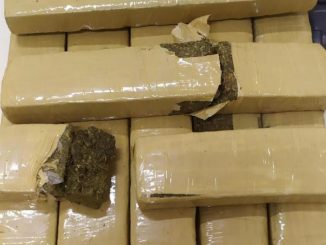 A apreensão ocorreu, no bairro de Lomanto, após denúncias de transporte dos entorpecentes.