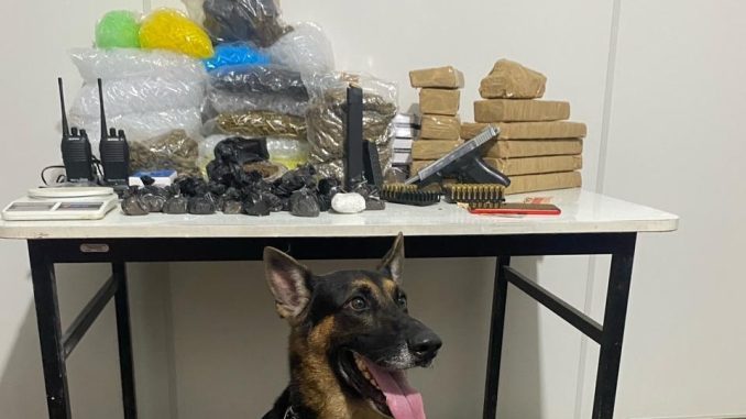 A ação contra o tráfico de drogas foi realizada na cidade de Santo Antônio de Jesus, na quinta-feira (18).