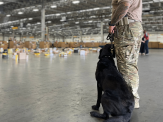 Além das armas, cocaína, maconha, crack, ecstasy e haxixe foram apreendidos na ação com o auxílio das cadelas da Coe