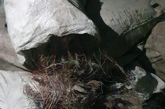 Material foi apreendido na quarta-feira (31), no bairro de Fazenda Grande do Retiro, em Salvador.