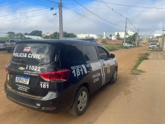 Mais de 250 quilos de entorpecentes foram apreendidos, significando um prejuízo de mais de R$ 1 milhão ao tráfico de drogas