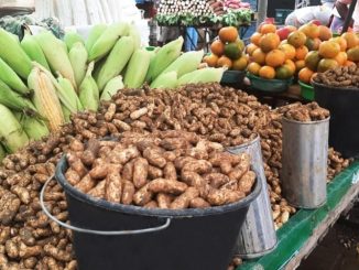 Foram visitados estabelecimentos comerciais, além da Marechal e Centro
