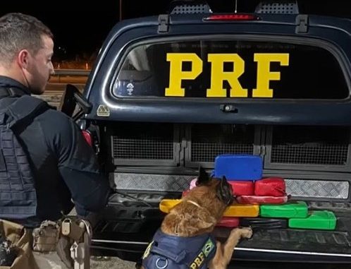 PRF realiza apreensão de mais de 15 Kg de cocaína em Feira de Santana A ação teve a participação dos cães farejadores K-9 Raia e K-9 Umbro