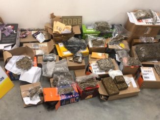 Um simulacro de arma de fogo e 100 notas de R$ 20 falsificadas também foram apreendidas durante a ação