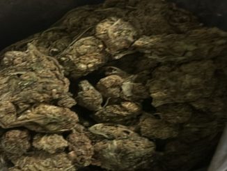 Mulher foi flagrada na embarcação que ia para a Ilha de Itaparica