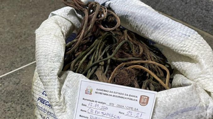 WhatsApp Image 2025-03-15 at 09.13.22