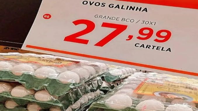 bahiapolitica-bp-ovo