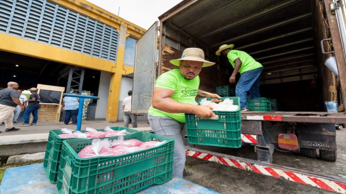 bahiapolitica-bp-agriculturafamiliar-camaçari